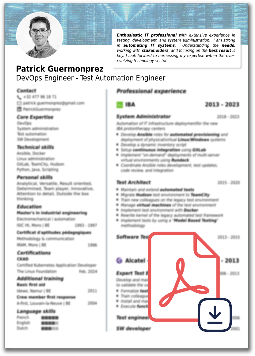 Resume Patrick Guermonprez